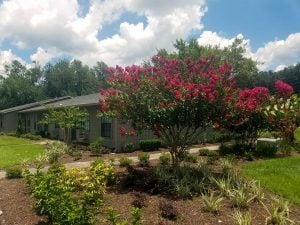 Beautiful landscaping Beautiful landscaping